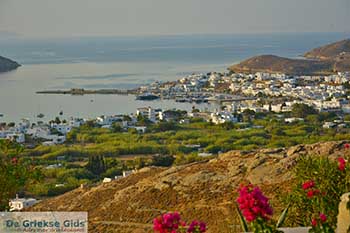 Livadi Serifos Cycladen 051 - Foto van https://www.grieksegids.nl/fotos/serifos/normaal/livadi-051.jpg