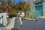 Apollonia 30  Sifnos Cycladen - Foto van De Griekse Gids