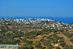 Apollonia 35  Sifnos Cycladen - Foto van De Griekse Gids