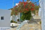 Faros 17  Sifnos Cycladen - Foto van De Griekse Gids