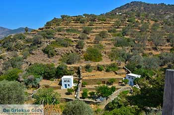 Agion Anargiron Duiventillen 13  Sifnos Cycladen - Foto van https://www.grieksegids.nl/fotos/sifnos/normaal/agion-anargiron-duiventillen-013.jpg