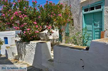 Apollonia 30  Sifnos Cycladen - Foto van https://www.grieksegids.nl/fotos/sifnos/normaal/apollonia-030.jpg