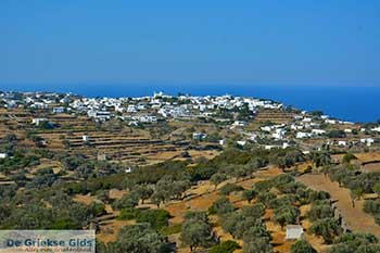 Apollonia 35  Sifnos Cycladen - Foto van https://www.grieksegids.nl/fotos/sifnos/normaal/apollonia-035.jpg