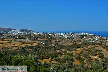 Apollonia 36  Sifnos Cycladen - Foto van https://www.grieksegids.nl/fotos/sifnos/normaal/apollonia-036.jpg