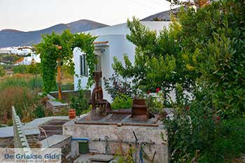 Artemonas 08  Sifnos Cycladen - Foto van https://www.grieksegids.nl/fotos/sifnos/normaal/artemonas-008.jpg