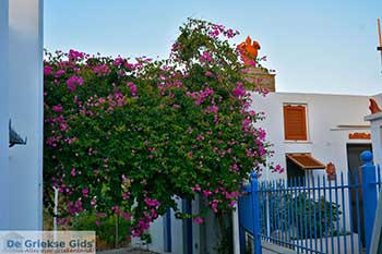 Artemonas 16  Sifnos Cycladen - Foto van https://www.grieksegids.nl/fotos/sifnos/normaal/artemonas-016.jpg