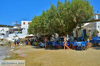 Faros 15  Sifnos Cycladen - Foto van https://www.grieksegids.nl/fotos/sifnos/normaal/faros-015.jpg