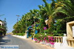 GriechenlandWeb Sissi Lassithi Kreta - Foto GriechenlandWeb.de