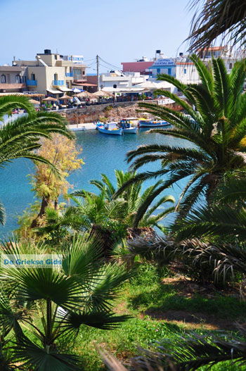 Sissi | Lassithi Kreta | Griekenland nr 33 - Foto van https://www.grieksegids.nl/fotos/sissi/normaal/sissi-kreta-033.jpg