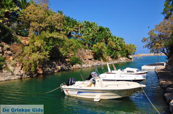 Sissi | Lassithi Kreta | Griekenland nr 43 - Foto van https://www.grieksegids.nl/fotos/sissi/normaal/sissi-kreta-043.jpg