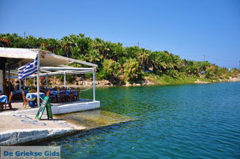 Sissi | Lassithi Kreta | Griekenland nr 44 - Foto van https://www.grieksegids.nl/fotos/sissi/normaal/sissi-kreta-044.jpg