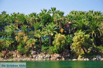 Sissi | Lassithi Kreta | Griekenland nr 45 - Foto van https://www.grieksegids.nl/fotos/sissi/normaal/sissi-kreta-045.jpg