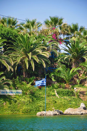 Sissi | Lassithi Kreta | Griekenland nr 46 - Foto van https://www.grieksegids.nl/fotos/sissi/normaal/sissi-kreta-046.jpg