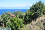 Stranden en natuur bij Vourvourou | Sithonia Chalkidiki | Griekenland 34 - Foto van De Griekse Gids