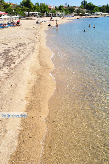 Nikiti en Aghios Nikitas Sithonia | Chalkidiki | Griekenland 32 - Foto van https://www.grieksegids.nl/fotos/sithonia-chalkidiki/normaal/sithonia-chalkidiki-032.jpg