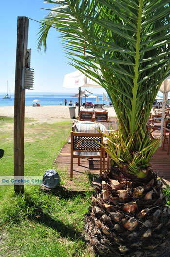 Nikiti en Aghios Nikitas Sithonia | Chalkidiki | Griekenland 41 - Foto van https://www.grieksegids.nl/fotos/sithonia-chalkidiki/normaal/sithonia-chalkidiki-041.jpg