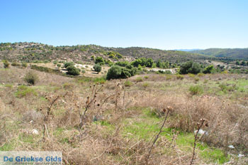 Onderweg van Nikiti naar Ormos Panagias | Chalkidiki | Griekenland 2 - Foto van https://www.grieksegids.nl/fotos/sithonia-chalkidiki/normaal/sithonia-chalkidiki-051.jpg