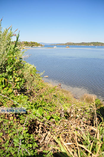 Stranden en natuur bij Vourvourou | Sithonia Chalkidiki | Griekenland 5 - Foto van https://www.grieksegids.nl/fotos/sithonia-chalkidiki/normaal/sithonia-chalkidiki-080.jpg