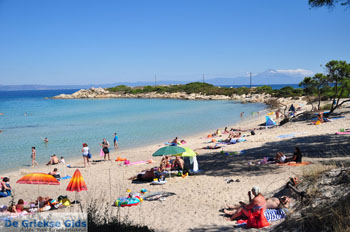 Stranden en natuur bij Vourvourou | Sithonia Chalkidiki | Griekenland 17 - Foto van https://www.grieksegids.nl/fotos/sithonia-chalkidiki/normaal/sithonia-chalkidiki-092.jpg