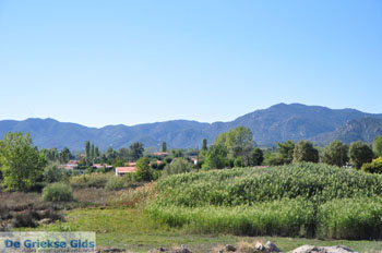 Natuur stranden bij Sykia en Paralia Sykias | Sithonia Chalkidiki | Foto 3 - Foto van https://www.grieksegids.nl/fotos/sithonia-chalkidiki/normaal/sithonia-chalkidiki-137.jpg