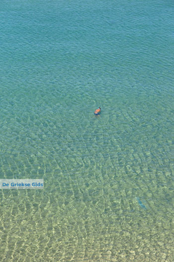 Natuur stranden bij Sykia en Paralia Sykias | Sithonia Chalkidiki | Foto 11 - Foto van https://www.grieksegids.nl/fotos/sithonia-chalkidiki/normaal/sithonia-chalkidiki-145.jpg
