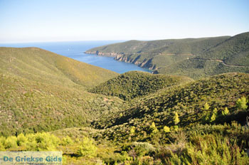 Ergens tussen Kalamitsi en Port Koufo | Sithonia Chalkidiki | Griekenland 1 - Foto van https://www.grieksegids.nl/fotos/sithonia-chalkidiki/normaal/sithonia-chalkidiki-188.jpg