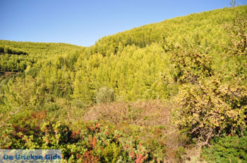 Ergens tussen Kalamitsi en Port Koufo | Sithonia Chalkidiki | Griekenland 4 - Foto van https://www.grieksegids.nl/fotos/sithonia-chalkidiki/normaal/sithonia-chalkidiki-191.jpg