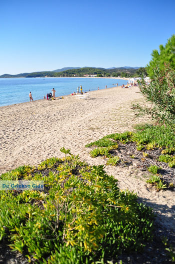 Toroni | Sithonia Chalkidiki | Griekenland 19 - Foto van https://www.grieksegids.nl/fotos/sithonia-chalkidiki/normaal/sithonia-chalkidiki-249.jpg
