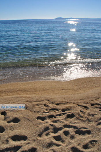 Toroni | Sithonia Chalkidiki | Griekenland 24 - Foto van https://www.grieksegids.nl/fotos/sithonia-chalkidiki/normaal/sithonia-chalkidiki-254.jpg