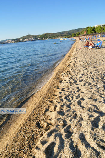 Porto Karras | Sithonia Chalkidiki | Griekenland 8 - Foto van https://www.grieksegids.nl/fotos/sithonia-chalkidiki/normaal/sithonia-chalkidiki-267.jpg