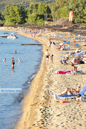 Porto Karras | Sithonia Chalkidiki | Griekenland 12 - Foto van https://www.grieksegids.nl/fotos/sithonia-chalkidiki/normaal/sithonia-chalkidiki-271.jpg