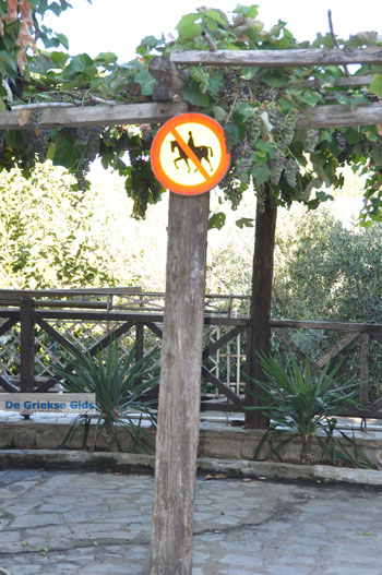 Parthenonas | Sithonia Chalkidiki | Griekenland 18 - Foto van https://www.grieksegids.nl/fotos/sithonia-chalkidiki/normaal/sithonia-chalkidiki-322.jpg