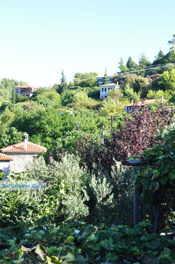 Parthenonas | Sithonia Chalkidiki | Griekenland 21 - Foto van https://www.grieksegids.nl/fotos/sithonia-chalkidiki/normaal/sithonia-chalkidiki-325.jpg