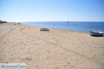 Psakoudia tot Gerakini | Sithonia Chalkidiki | Griekenland 2 - Foto van https://www.grieksegids.nl/fotos/sithonia-chalkidiki/normaal/sithonia-chalkidiki-350.jpg