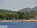 Strand Troulos op Skiathos foto 4 - Foto van De Griekse Gids