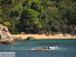 Strand nabij Koutsouri op het eiland Skiathos foto 1 - Foto van De Griekse Gids