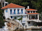 Haven Skiathos stad foto 6 - Foto van De Griekse Gids