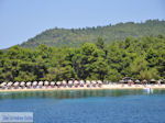 Strand Koukounaries - Eiland Skiathos - foto 1 - Foto van De Griekse Gids