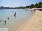 Het mooie strand van Koukounaries - Skiathos - foto 3 - Foto van De Griekse Gids