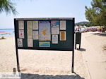 Het mooie strand van Koukounaries - Skiathos - foto 6 - Foto van De Griekse Gids