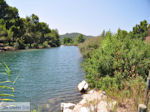 Beschermd gebied Koukounaries - Skiathos - foto 4 - Foto van De Griekse Gids