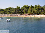 Het zandstrand van Koukounaries - Skiathos - foto 1 - Foto van De Griekse Gids