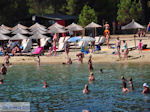 Het zandstrand van Koukounaries - Skiathos - foto 2 - Foto van De Griekse Gids