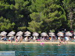 Het zandstrand van Koukounaries - Skiathos - foto 5 - Foto van De Griekse Gids