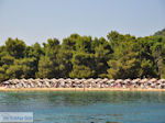 Het zandstrand van Koukounaries - Skiathos - foto 6 - Foto van De Griekse Gids