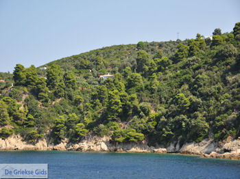 Beboste berghellingen Koutsouri Skiathos foto 2 - Foto van https://www.grieksegids.nl/fotos/skiathos/350pixels/eiland-skiathos-020.jpg