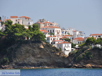 Met de boot naar Skiathos stad foto 1 - Foto van https://www.grieksegids.nl/fotos/skiathos/350pixels/eiland-skiathos-025.jpg