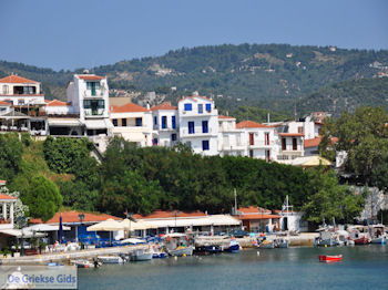 Haven Skiathos stad foto 5 - Foto van https://www.grieksegids.nl/fotos/skiathos/350pixels/eiland-skiathos-040.jpg