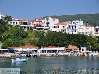 Haven Skiathos stad foto 9 - Foto van https://www.grieksegids.nl/fotos/skiathos/350pixels/eiland-skiathos-044.jpg