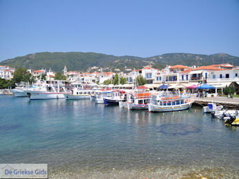Bootjes aan het haventje van Skiathos stad foto 3 - Foto van https://www.grieksegids.nl/fotos/skiathos/350pixels/eiland-skiathos-077.jpg